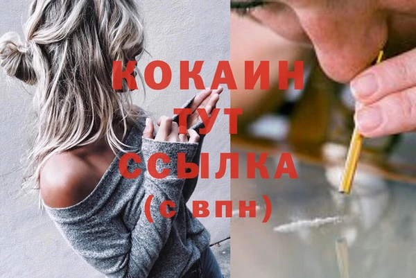 ECSTASY Алзамай