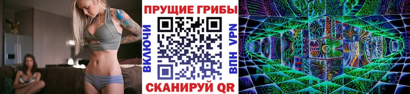 купить   Щучье  Псилоцибиновые грибы Cubensis 
